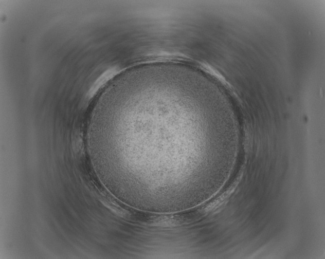 X0000074941259200609081342