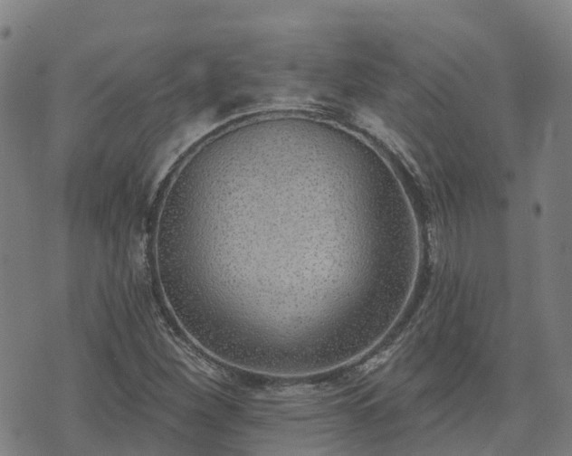 X0000074941260200609081342