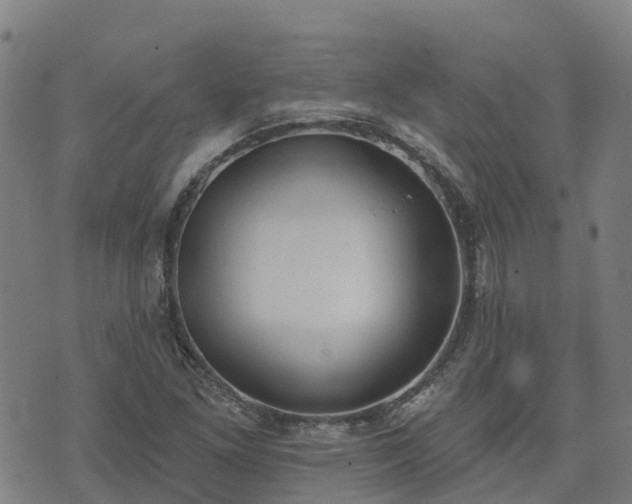 X0000074941261200609081342