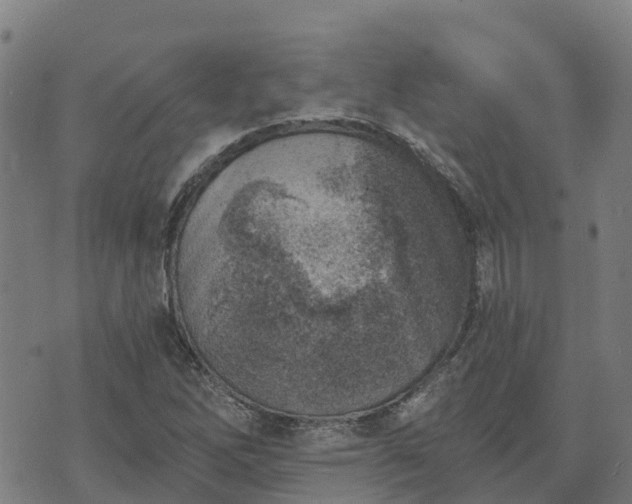 X0000074941262200609081342