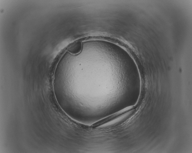 X0000074941263200609081342