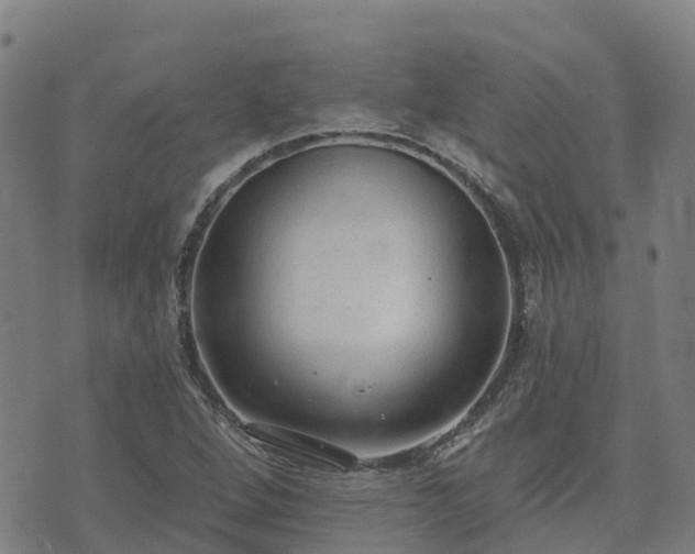 X0000074941264200609081342