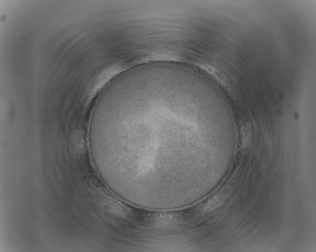 X0000074941266200609081342