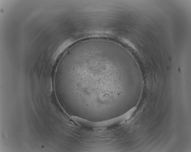 X0000074941267200609081342