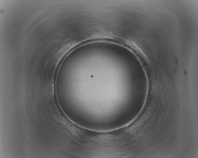 X0000074941268200609081342