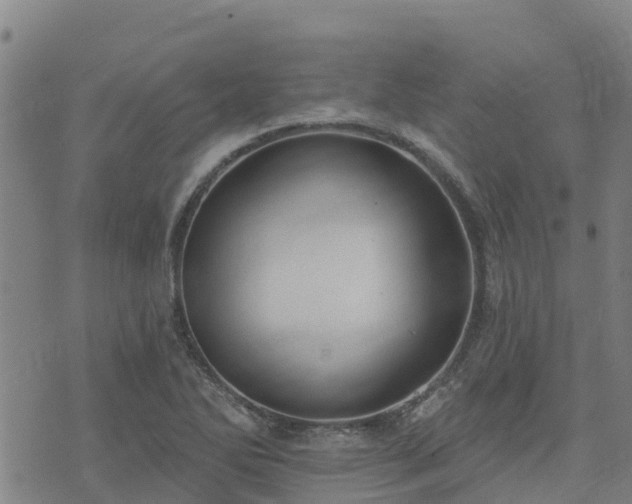 X0000074941270200609081342