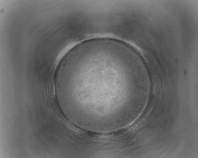 X0000074941271200609081342