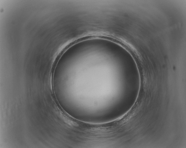 X0000074941272200609081342