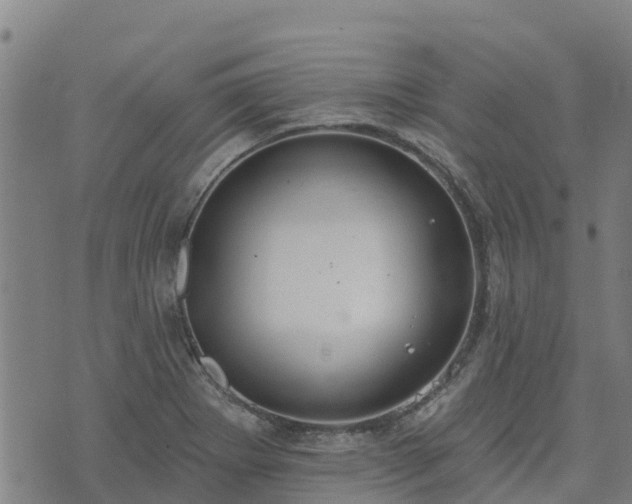 X0000074941273200609081342