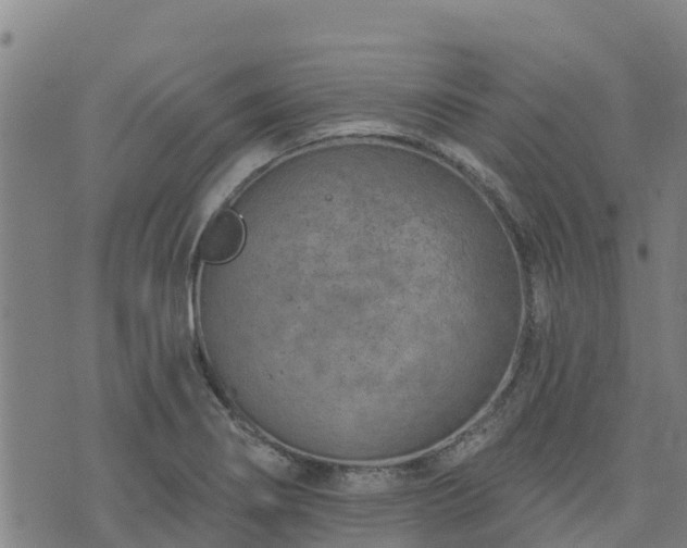 X0000074941274200609081342