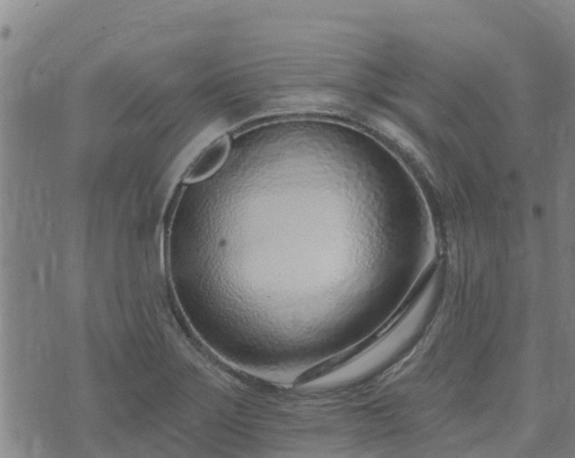 X0000074941275200609081342