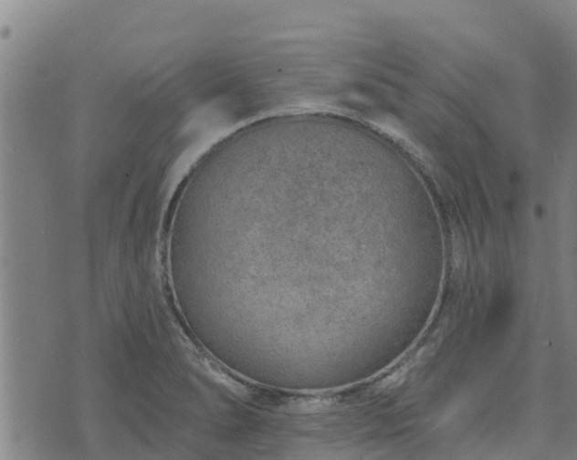 X0000074941278200609081342