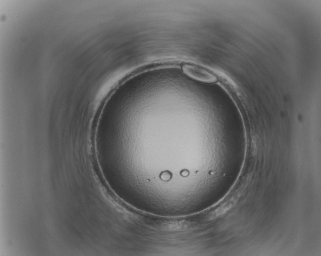 X0000074941279200609081342