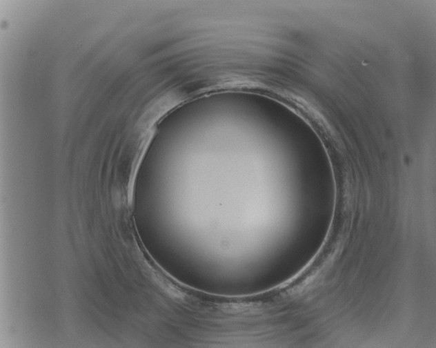 X0000074941281200609081342