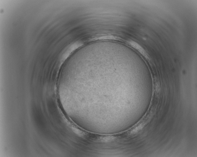 X0000074941282200609081342