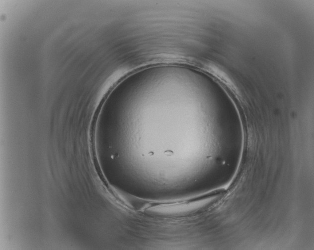 X0000074941283200609081342