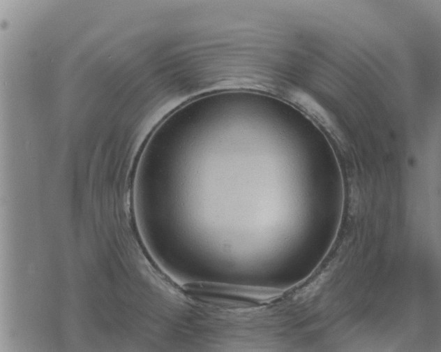 X0000074941284200609081342