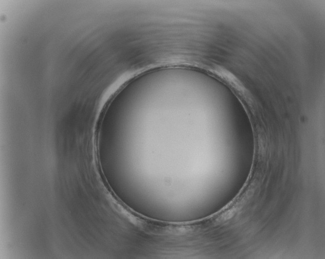 X0000074941286200609081341