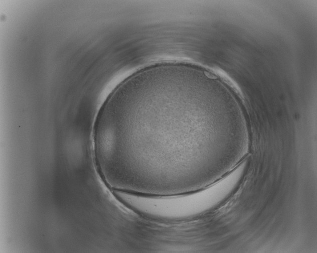 X0000074941287200609081341