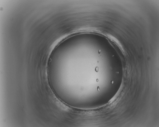 X0000074941288200609081341