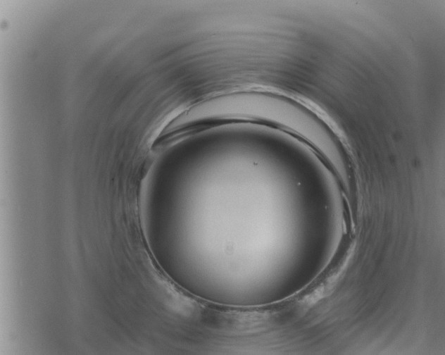 X0000074941289200609081341