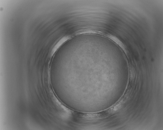 X0000074941290200609081341