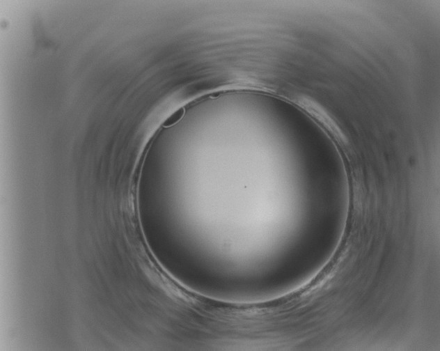 X0000074941292200609081341