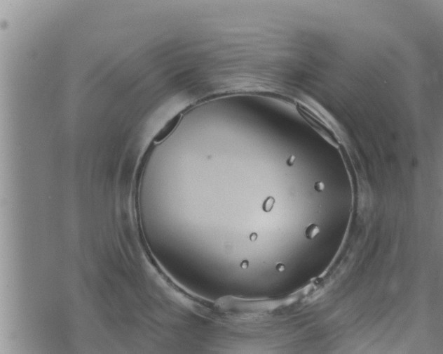 X0000074941293200609081341