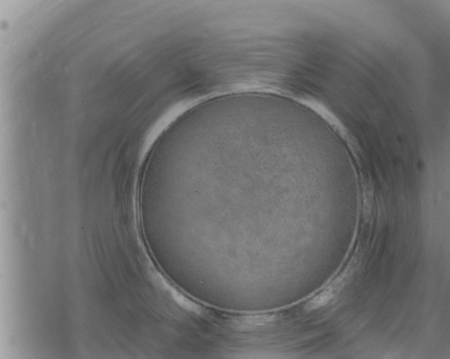 X0000074941294200609081341