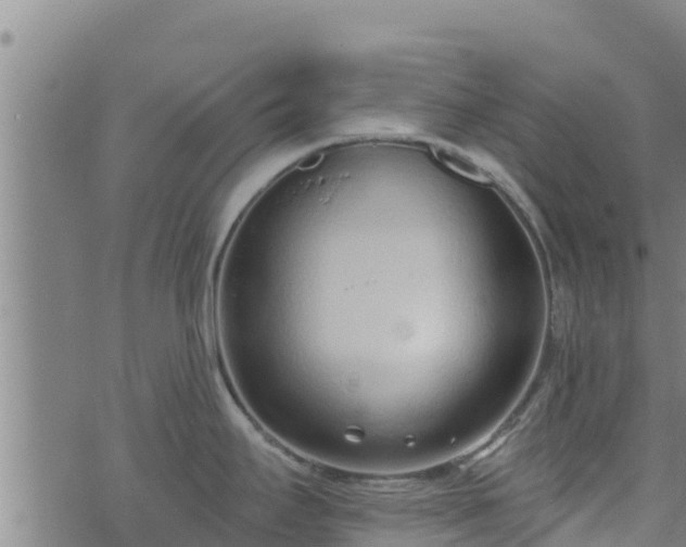 X0000074941295200609081341