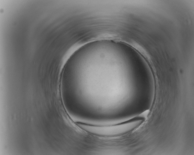 X0000074941296200609081341