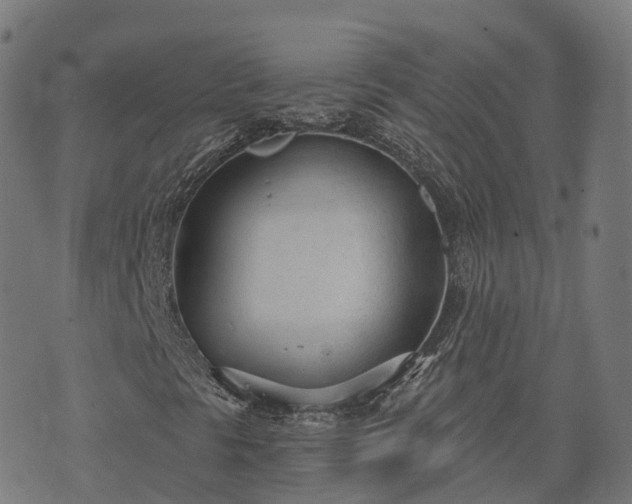 X0000074941297200609081341