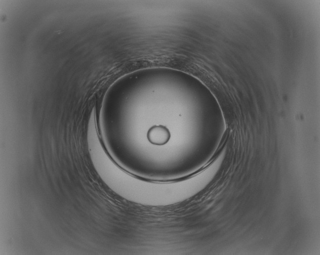 X0000074941298200609081341