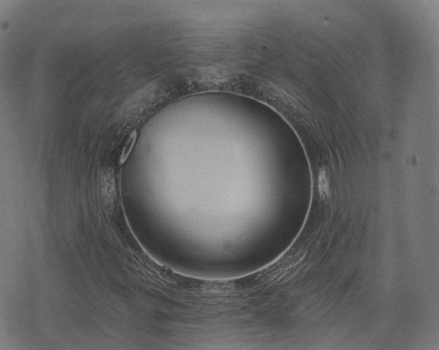 X0000074941299200609081341