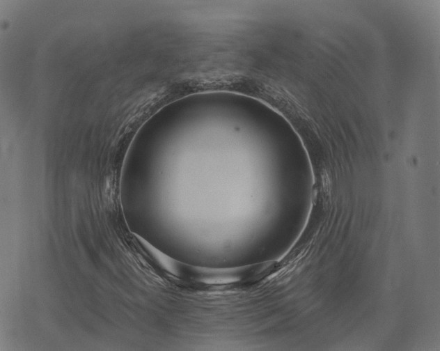 X0000074941300200609081341