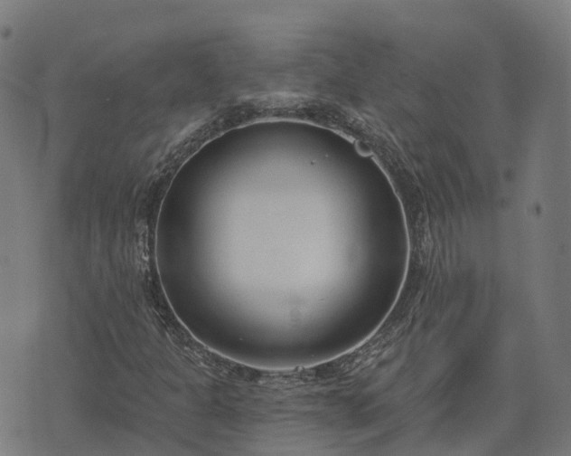 X0000074941301200609081341