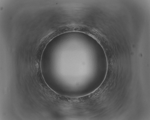 X0000074941302200609081341