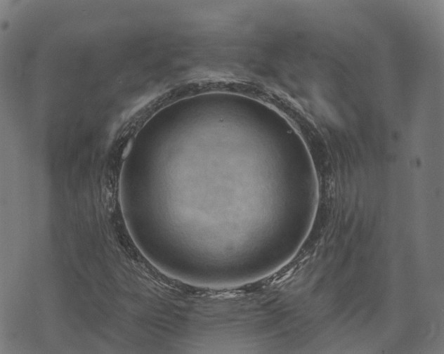 X0000074941303200609081341