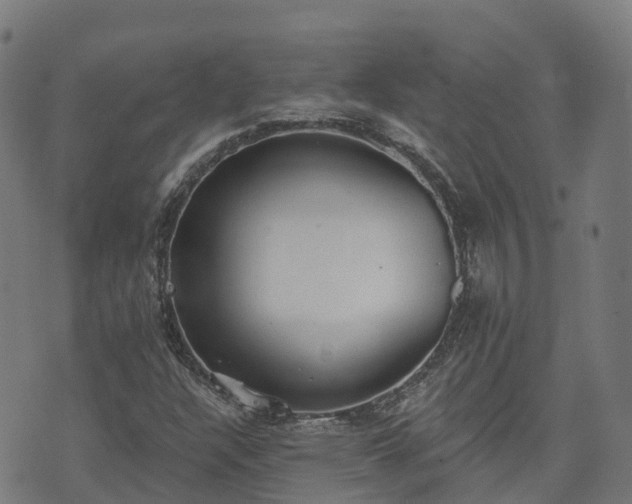 X0000074941304200609081341