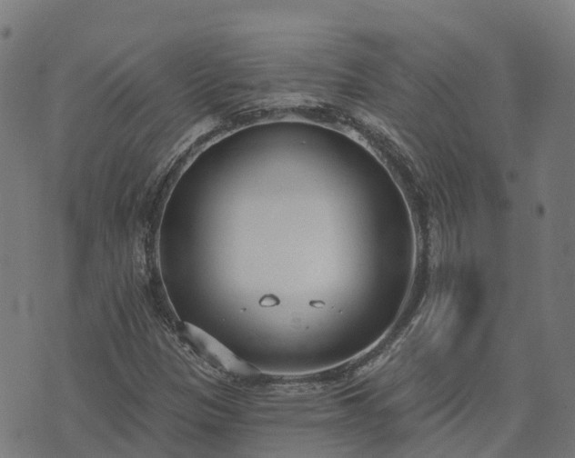 X0000074941305200609081341