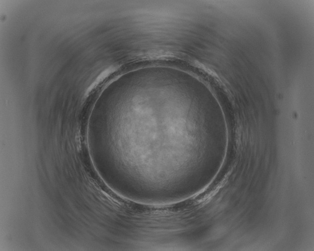 X0000074941306200609081341