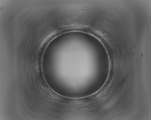 X0000074941307200609081341