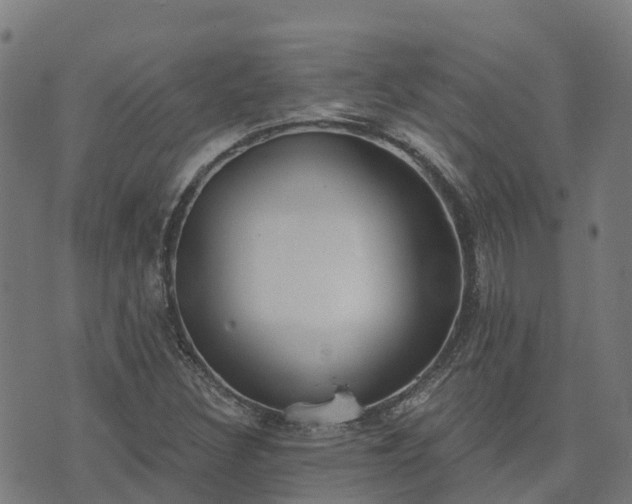 X0000074941308200609081341