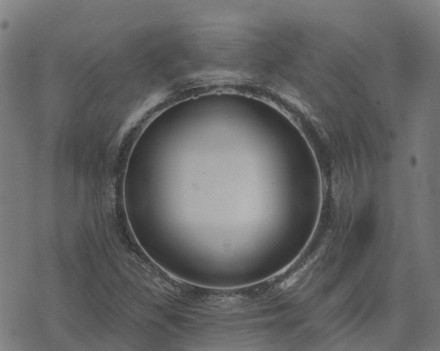 X0000074941309200609081341