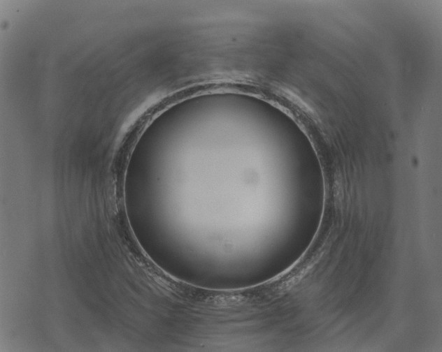 X0000074941310200609081341