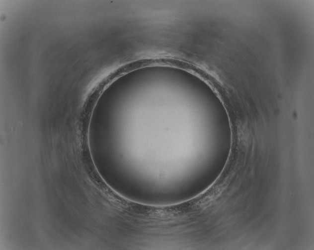 X0000074941311200609081341