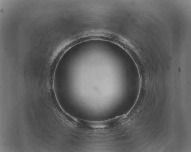 X0000074941312200609081341