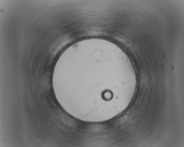 X0000074941314200609081341