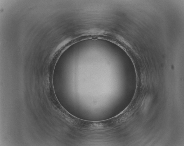 X0000074941315200609081341