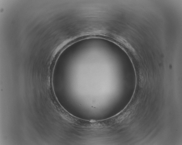 X0000074941316200609081341